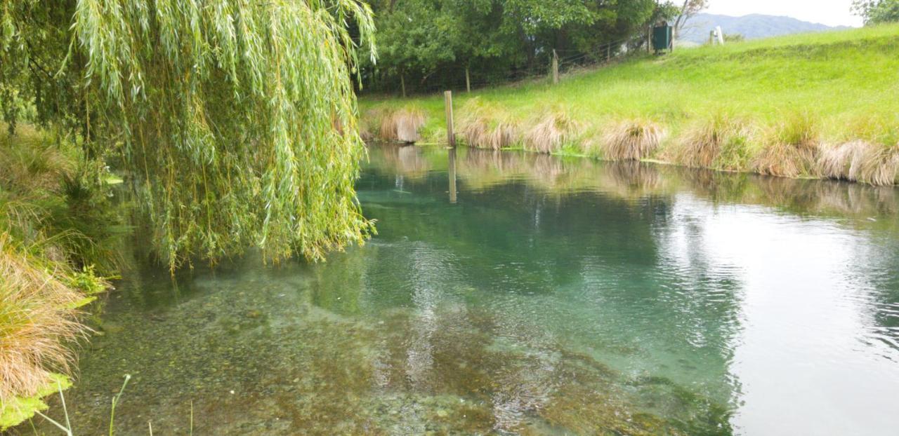 Spring Creek Holiday Park Blenheim Dış mekan fotoğraf
