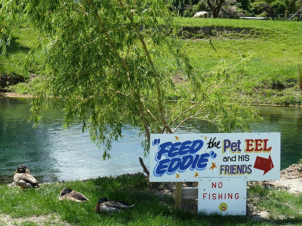 Spring Creek Holiday Park Blenheim Dış mekan fotoğraf