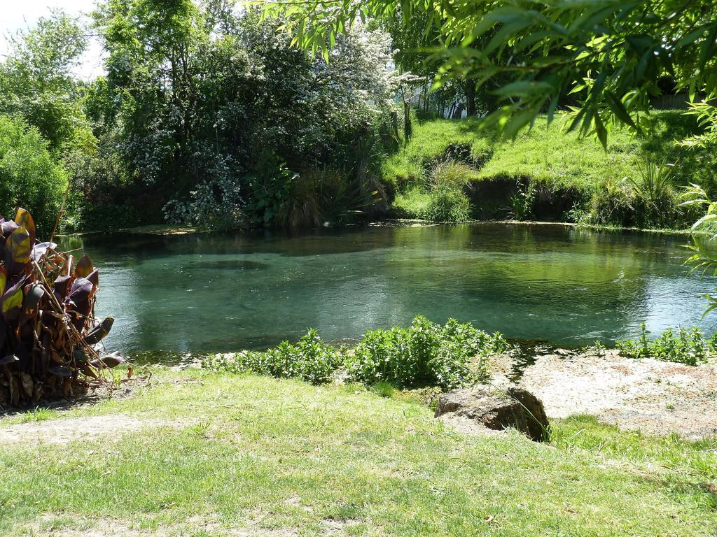 Spring Creek Holiday Park Blenheim Dış mekan fotoğraf